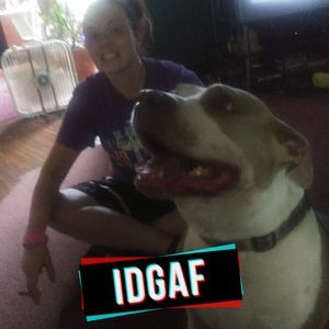 Meet your Posher, Amber